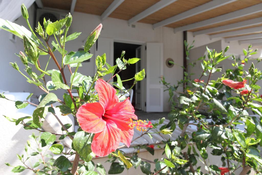 Villa Sea Rose Lipari  Oda fotoğraf
