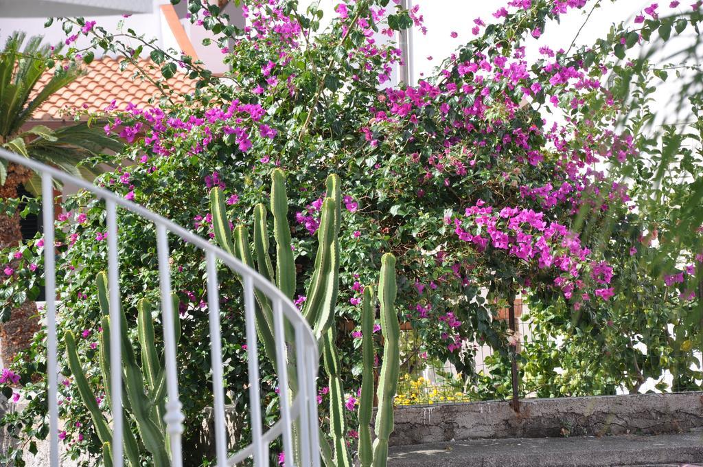 Villa Sea Rose Lipari  Dış mekan fotoğraf